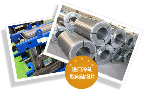 力王电气集团有限公司